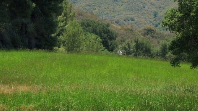 Video Reference: Grassland, Vegetation, Pasture, Meadow, Nature, Natural environment, Natural landscape, Field, Land lot, Nature reserve