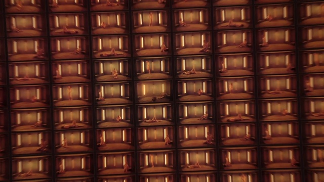 Video Reference: Brown, Symmetry, Pattern, Design, Metal, Furniture, Caramel color, Person