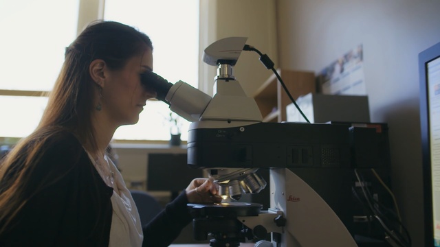 Video Reference: Cinematographer, Videographer, Scientific instrument, Microphone stand, Electronic device, Microscope, Music, Science, Optical instrument, Recording, Person