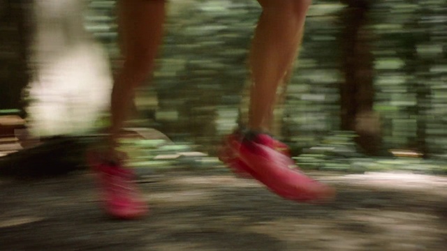 Video Reference: Red, Footwear, Pink, Leg, Human leg, Shoe, Tree, Thigh, Foot, High heels