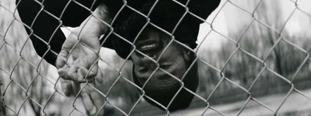 Video Reference: Net, Animal shelter, Black-and-white, Wire fencing, Chain-link fencing