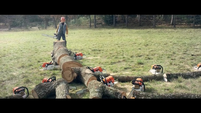 Video Reference: grass, military, troop, military organization, infantry, soldier, wildlife