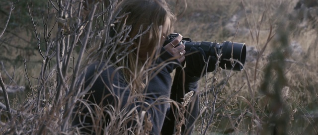 Video Reference: Tree, Photography, Branch, Grass, Wildlife, Plant