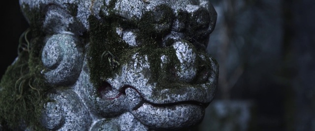 Video Reference: Rock, Organism, Stone carving, Sculpture, Black-and-white, Art