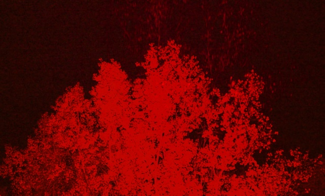 Video Reference: Red, Maroon, Carmine
