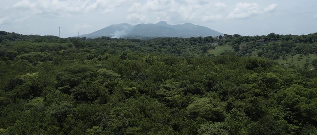 Video Reference: Vegetation, Hill station, Tropical and subtropical coniferous forests, Highland, Jungle, Natural environment, Nature reserve, Rainforest, Mountainous landforms, Forest