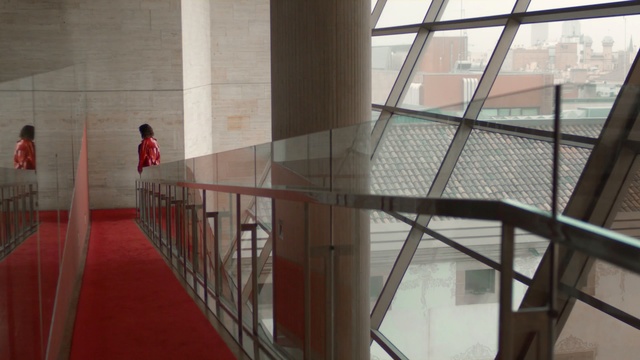 Video Reference: handrail, structure, architecture, stairs, tourist attraction, glass, daylighting, building, window, baluster