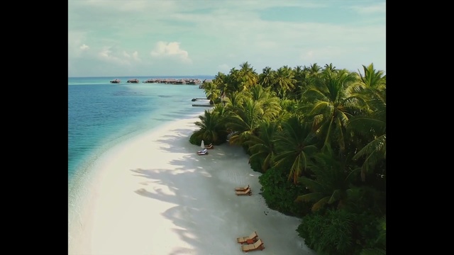 Video Reference: body of water, water, sea, tropics, sky, shore, caribbean, coastal and oceanic landforms, arecales, palm tree