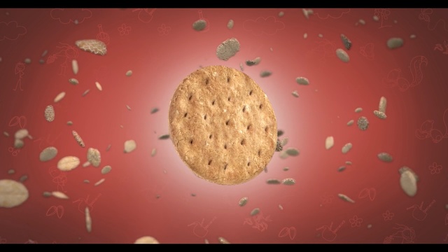 Video Reference: Organism, Macro photography, Circle, Food