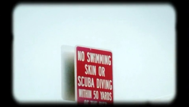 Video Reference: text, product, font, brand, logo, product