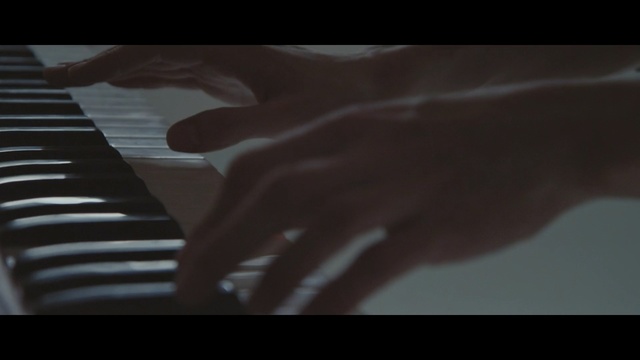 Video Reference: black, light, hand, darkness, pianist, musical keyboard, close up, finger, jazz pianist, keyboard