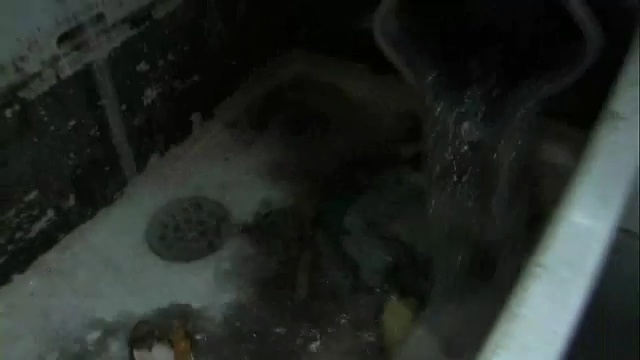 Video Reference: geological phenomenon, organism, mouth, water