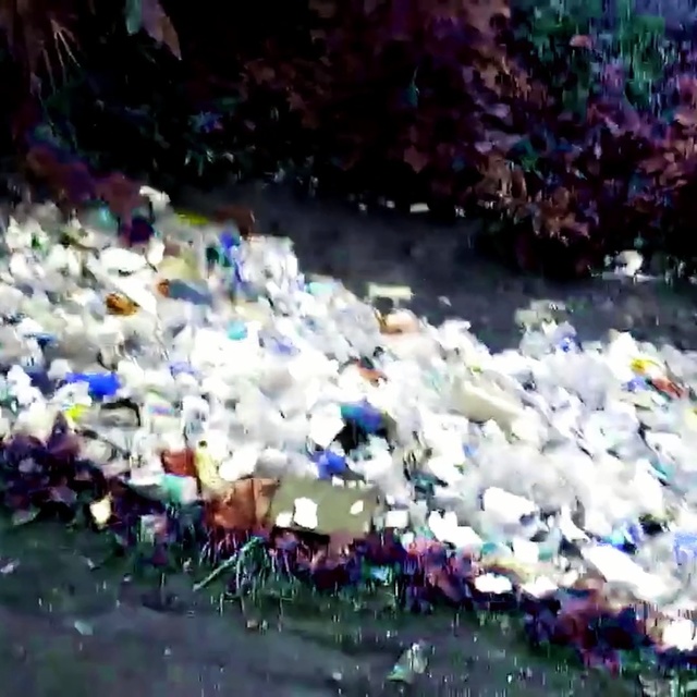 Video Reference: water, nature, body of water, coral reef, reef, waste, marine biology, coral reef fish, freshwater aquarium, pond, Person