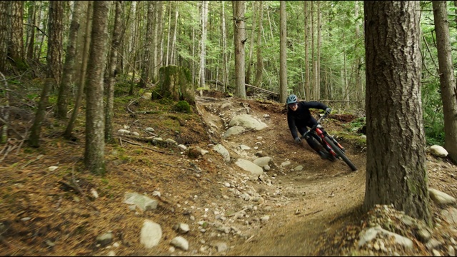 Video Reference: Mountain biking, Cycle sport, Downhill mountain biking, Trail, Mountain bike racing, Bicycle, Mountain bike, Vehicle, Freeride, Old-growth forest