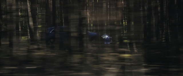 Video Reference: Nature, Natural environment, Woodland, Forest, Light, Tree, Biome, Atmosphere, Sunlight, Darkness