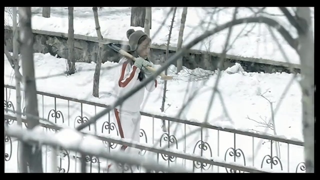 Video Reference: Iron, Snow, Handrail, Ice, Metal