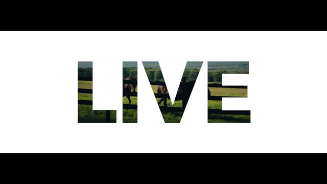 Video Reference: Text, Green, Font, Logo, Brand, Line, Design, Graphics, Graphic design, Pattern, Abstract, Screenshot, Geometry, Art