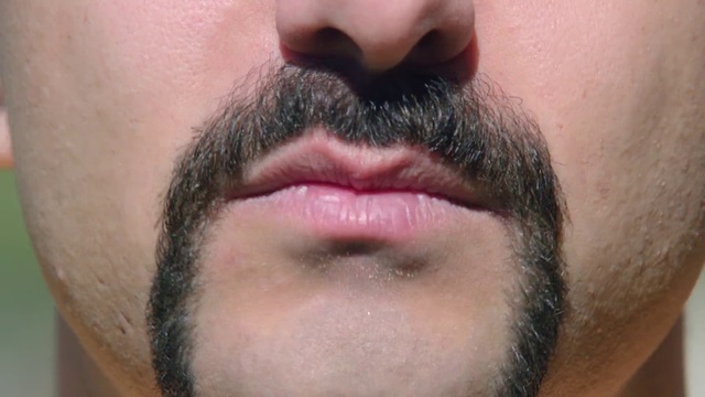 Video Reference: Facial hair, Hair, Face, Beard, Eyebrow, Nose, Moustache, Lip, Forehead, Cheek