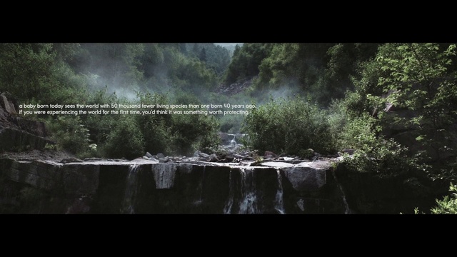 Video Reference: Nature, Water, Vegetation, Natural landscape, Natural environment, Tree, Biome, Sky, Watercourse, Water resources