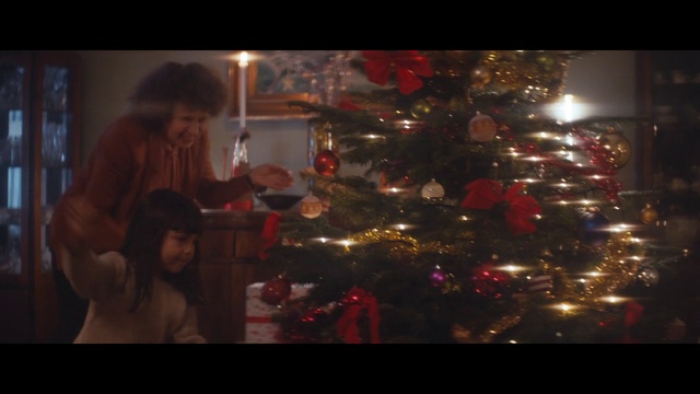 Video Reference: Christmas, Christmas tree, Christmas ornament, Christmas decoration, Tree, Tradition, Holiday, Christmas lights, Darkness, Event