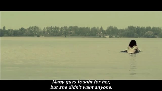 Video Reference: Nature, Water, Calm, Adaptation, Lake, Duck, Water bird, Bank, Landscape, Wildlife, Person