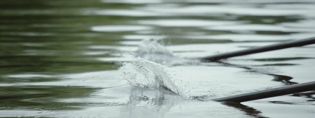 Video Reference: water, reflection, water resources, wave, freezing, tree