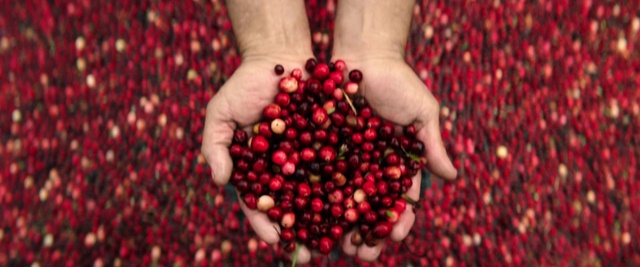 Video Reference: Natural foods, Red, Pink peppercorn, Berry, Food, Fruit, Plant, Hand, Superfruit, Superfood