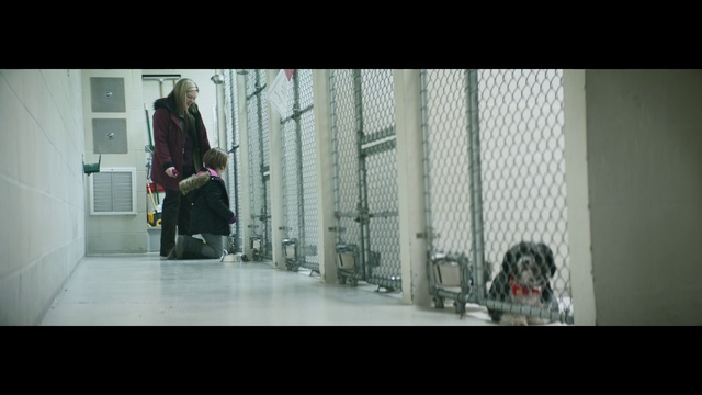 Video Reference: Photograph, Product, Snapshot, Sitting, Standing, Human, Photography, Floor, Sporting Group, Flooring