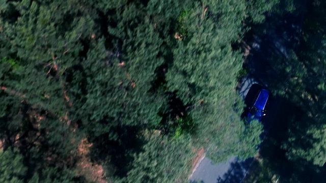 Video Reference: Green, Nature, Vegetation, Tree, Aerial photography, Biome, Organism, Jungle, Sky, Atmosphere, Person, Outdoor, Grass, Riding, Forest, Street, Man, Standing, Field, Red, Young, Hill, Holding, Phone, Air, Flying, Train, Board, Reef