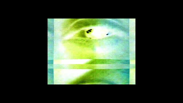 Video Reference: Green, Light, Text, Organism, Leaf, Font, Sky, Circle, Technology, Graphic design