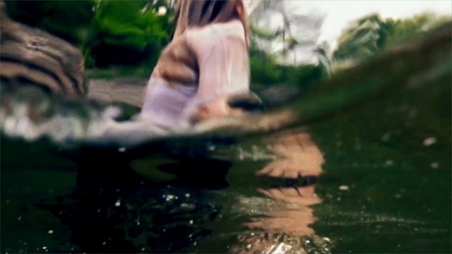 Video Reference: Nature, Water, Reflection, Sunlight, Tree, Pond, Watercourse, Grass, Wildlife, Jungle