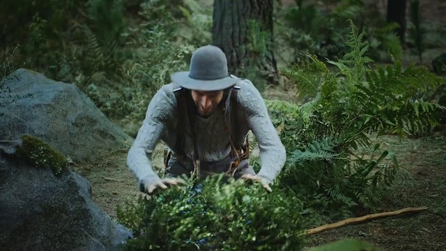 Video Reference: Jungle, Vegetation, Wilderness, Natural environment, Nature reserve, Forest, Rainforest, Old-growth forest, Biome, Plant