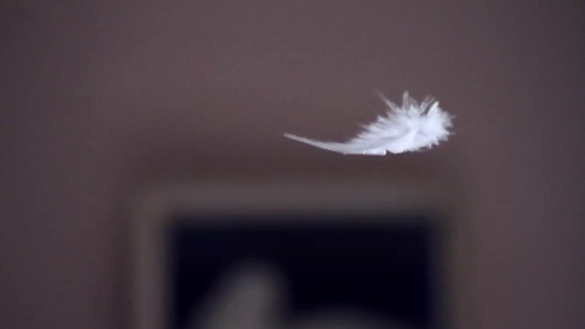 Video Reference: Sky, Photography, Wing, Feather
