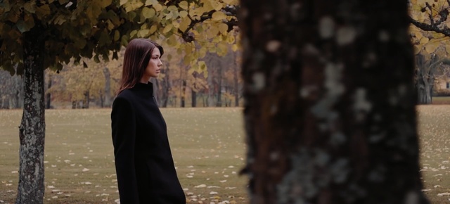 Video Reference: tree, woody plant, girl, autumn, outerwear, plant, sunlight, darkness, grass, winter
