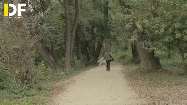 Video Reference: Trail, Nature, Woodland, Tree, Natural environment, Dirt road, Forest, Nature reserve, Path, Leaf, Person