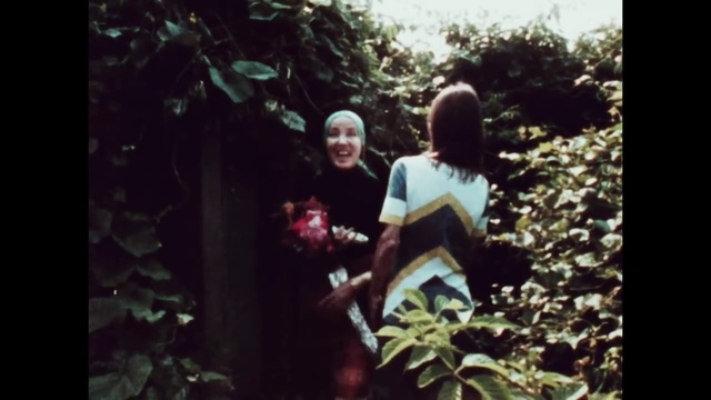 Video Reference: Photograph, Nature, Jungle, Natural environment, Snapshot, Leaf, Tree, Adaptation, Forest, Fun