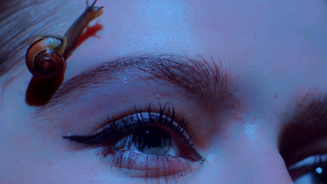 Video Reference: Eyebrow, Face, Eyelash, Eye, Blue, Red, Close-up, Organ, Forehead, Head