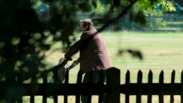 Video Reference: Photograph, Nature, Fence, Grass, Tree, Sitting, Sunlight, Photography, Human, Picket fence, Person
