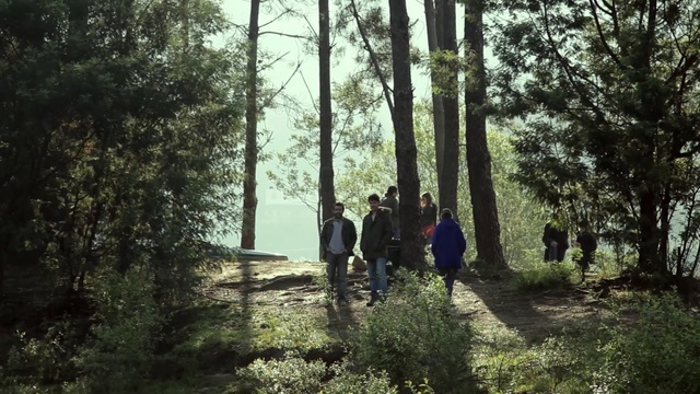 Video Reference: People in nature, Forest, Tree, Natural environment, Woodland, Nature, Nature reserve, Old-growth forest, Natural landscape, Vegetation, Person