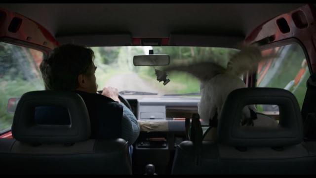 Video Reference: Vehicle, Head restraint, Motor vehicle, Mode of transport, Car, Driving, Automotive design, Automotive exterior, Luxury vehicle