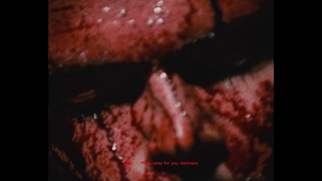 Video Reference: Flesh, Mouth, Red meat, Close-up, Food, Lip, Beef, Jaw, Font, Cuisine