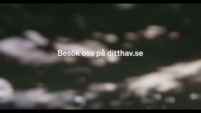 Video Reference: Nature, Monochrome photography, Photograph, Black, Water, Sky, Black-and-white, Text, Font, Macro photography