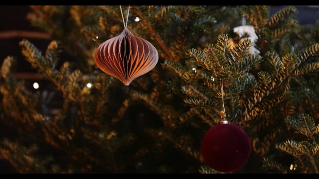 Video Reference: Christmas ornament, Tree, Christmas decoration, Ornament, Christmas, Christmas tree, Organism, Sky, Branch, Plant