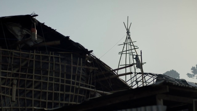 Video Reference: Roof, Sky, Architecture, Antenna, Tree, Scaffolding, Electricity, House, Building, Public utility