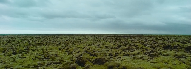 Video Reference: Sky, Natural environment, Natural landscape, Plain, Ecoregion, Horizon, Grassland, Field, Tundra, Steppe