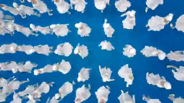 Video Reference: sky, blue, cloud, petal, daytime, cumulus, atmosphere, computer wallpaper, font, symmetry, Person