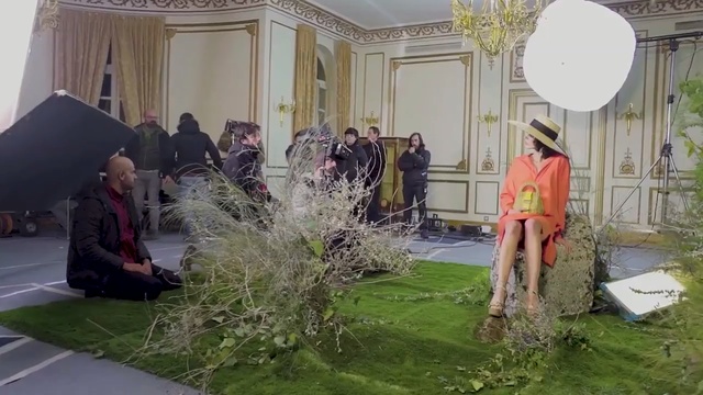 Video Reference: Grass, Tree, Plant, Art