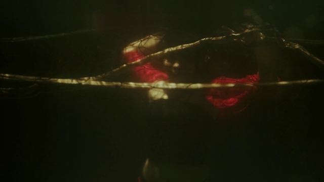 Video Reference: Water, Red, Black, Light, Sky, Darkness, Night, Macro photography, Photography, Cloud