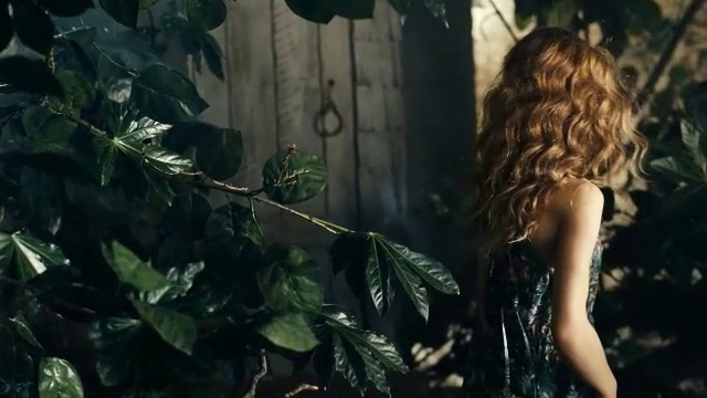 Video Reference: Nature, Jungle, Natural environment, Rainforest, Forest, Leaf, Tree, Organism, Plant, Fictional character