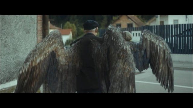 Video Reference: Bird of prey, Accipitriformes, Bird, Outerwear, Eagle, Falconiformes, Fur, Art